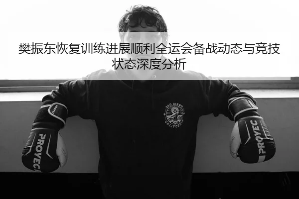 樊振东恢复训练进展顺利全运会备战动态与竞技状态深度分析