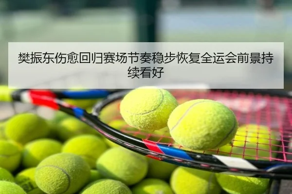 樊振东伤愈回归赛场节奏稳步恢复全运会前景持续看好